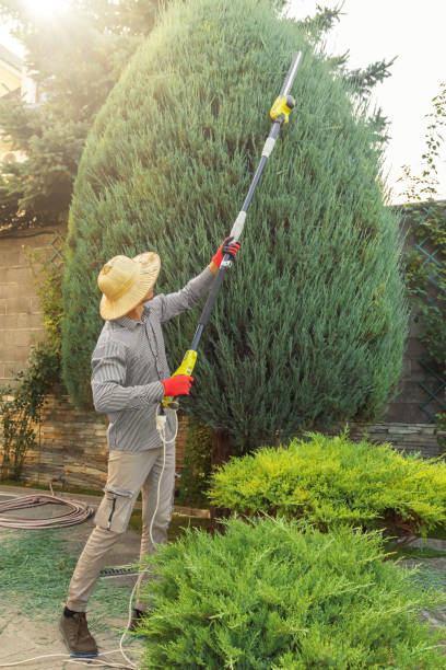 Best Lawn Pest Prevention  in Rheems, PA